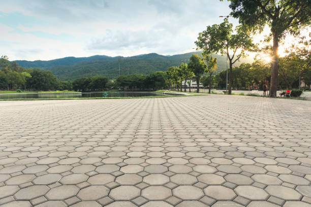Best Custom Driveway Pavers  in Niceville, FL